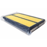 Air Filter A-2517/A1516