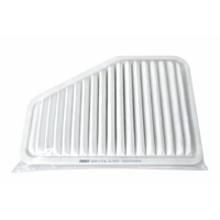 Air Filter A-9210/A1557