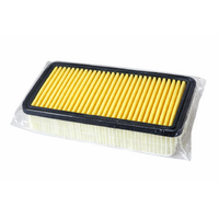 Air Filter A-971/A1629