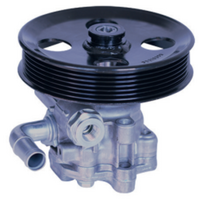 Powering Steering Pump for Holden Commodore VZ/VE/VF ALL